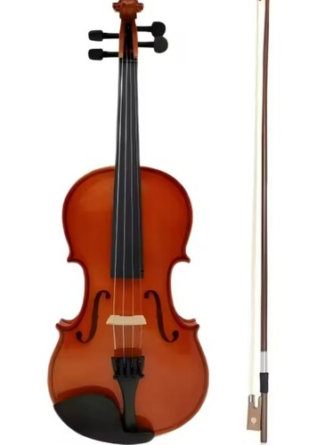 Viola