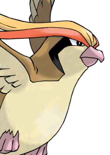 Violette's Pidgeot (English Dub)