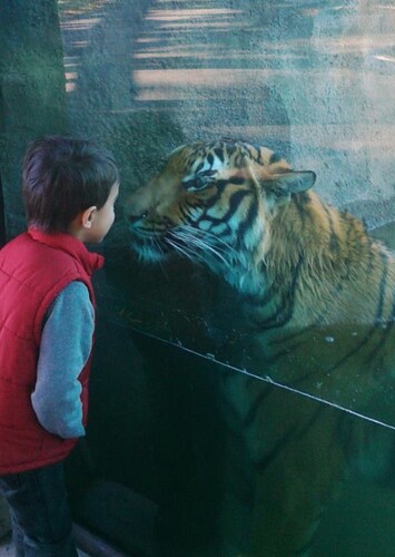 Virginia Zoo in Norfolk