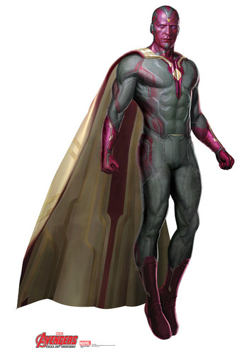 Vision