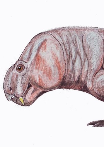 Vivaxosaurus