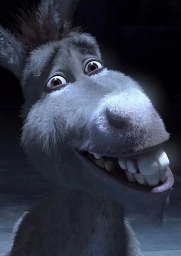 Voice of Donkey