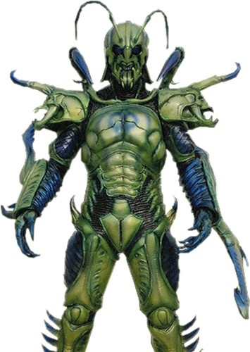 Voice of Gryllus Worm