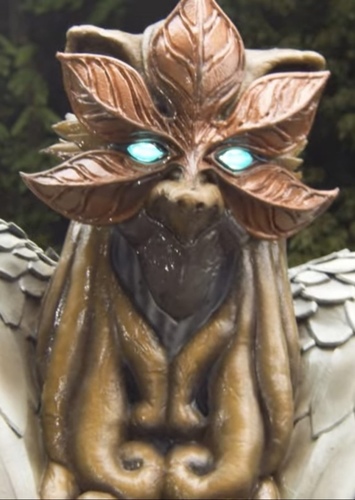 Vulpes