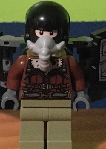 Vulture
