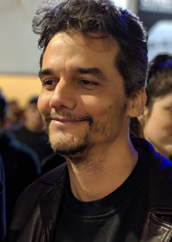 Roman Bellic