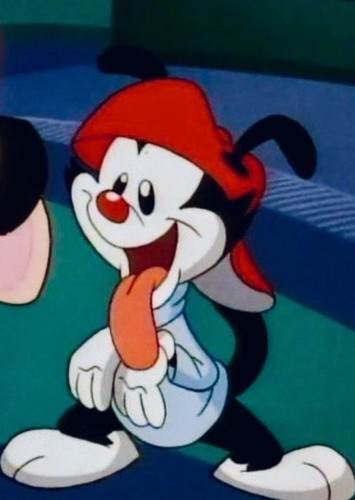 Wakko