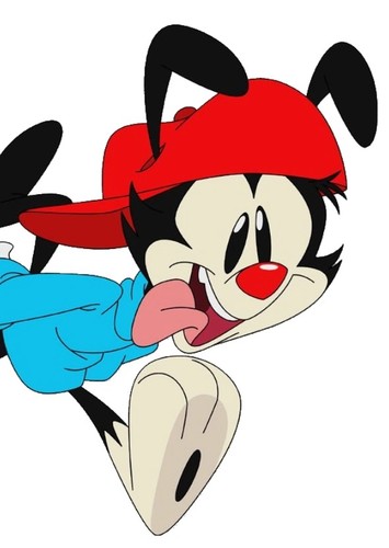 Wakko