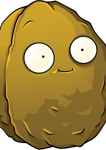 Wallace the Walnut