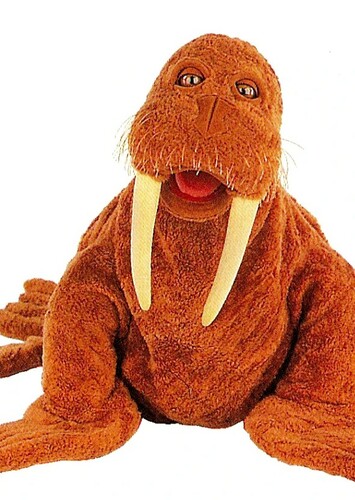 Walter the Pacific Walrus