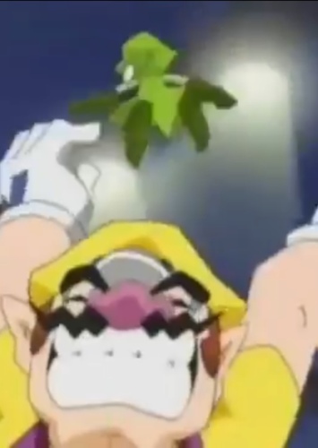 Wario