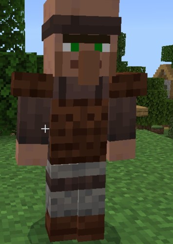 Warrior Villiager