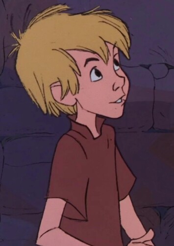 Wart/Arthur (The Sword in the Stone)