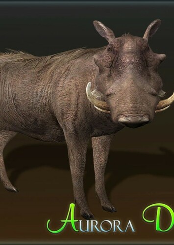 Warthog