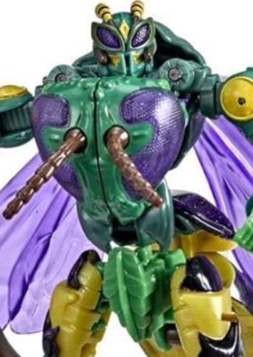 Wasp