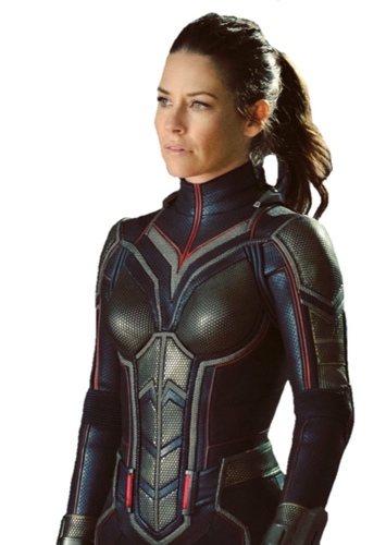 Wasp