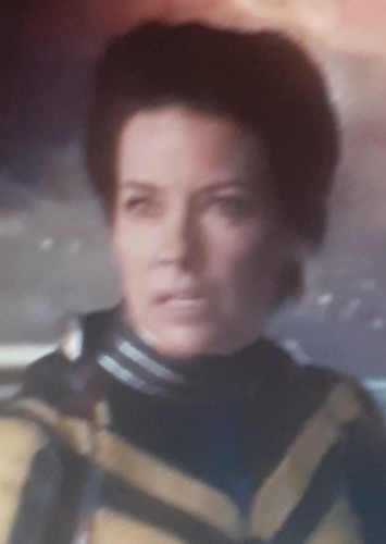 Wasp