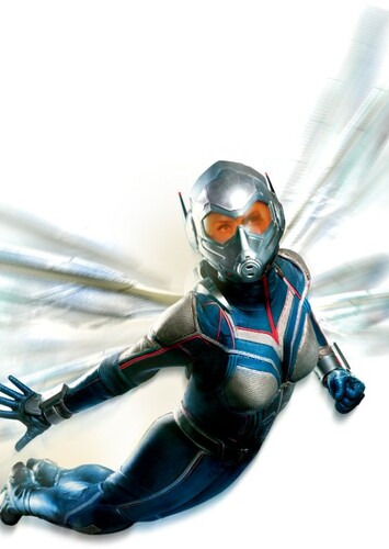 Wasp