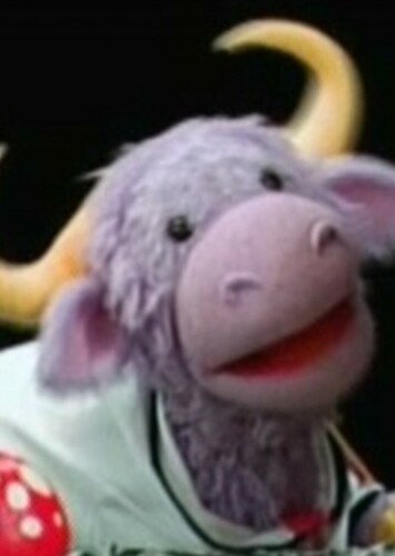 Water Buffalo