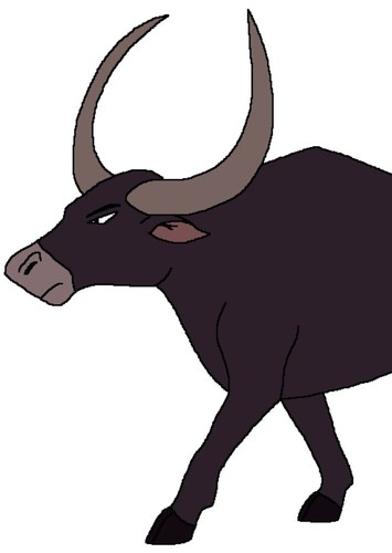 Water Buffalo Leader