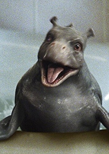 Water Horse Legend Of The Deep