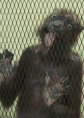 Weasel