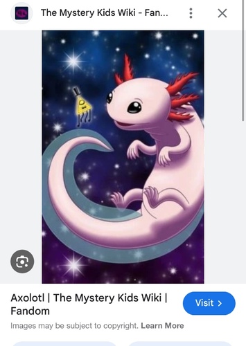 Axolotyl