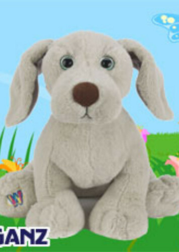 Weimaraner