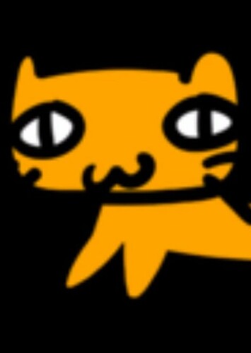 Weird Cat