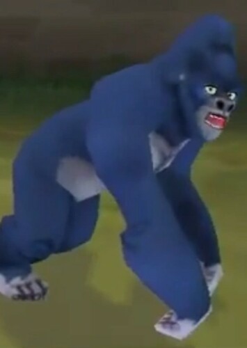 Western Lowland Gorilla