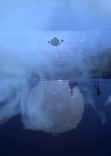 What if Ariel the Siren entered Arendelle?