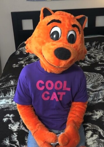 What if Cool Cat Saves the Internet?