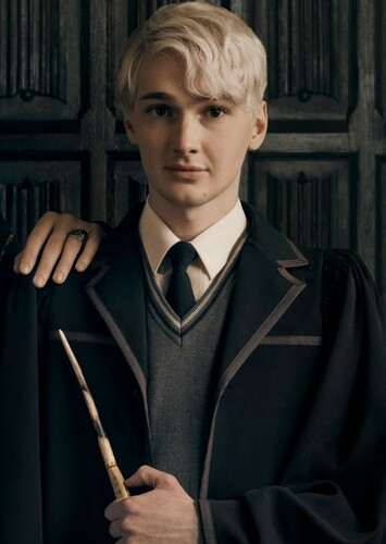 What if Harry Potter and Draco Malfoy switched places?