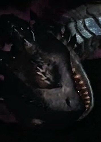 What if Hiccup slayed Toothless?