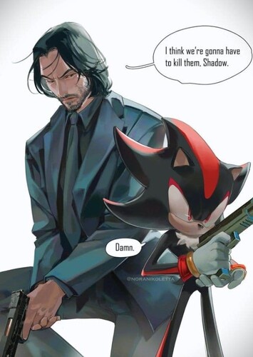 What If John Wick teamed up with Shadow The Hedgehog?