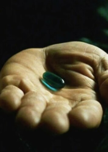 What if Neo chose the Blue Pill?