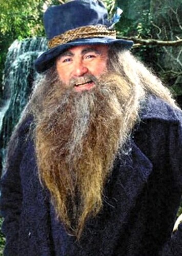 What if Tom Bombadil was in The Fellowship of the Ring?