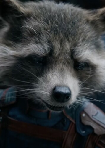 Who Quill see Rocket in which Eternal?