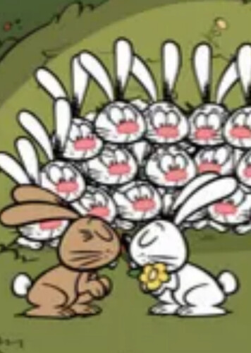 White Bunny