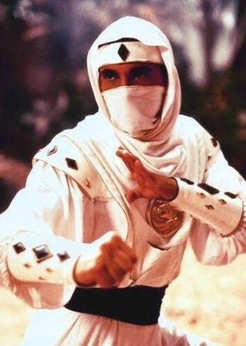 White Ranger Fan Casting for Mighty Morphin Power Rangers III (Brazil ...