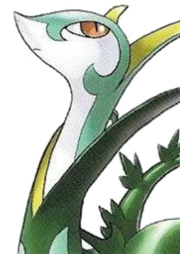 White's Serperior (English Dub)