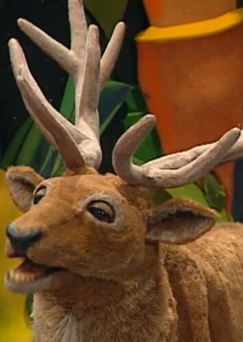 White Tailed Deer