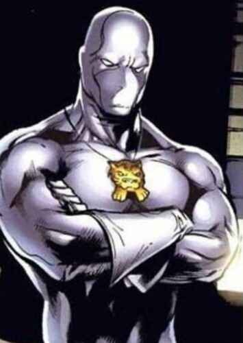 White Tiger (Hector Ayala)