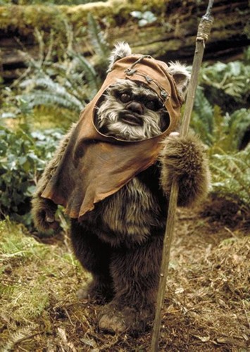 Wicket