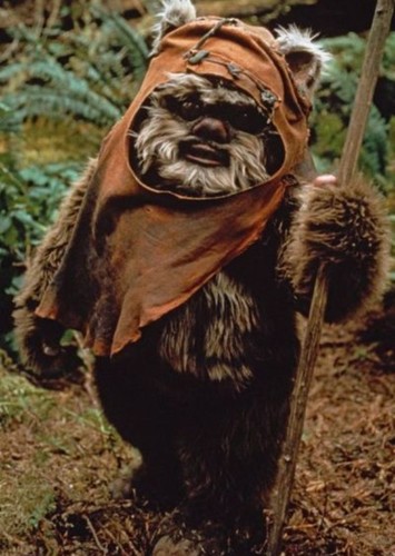 Wicket W. Warrick