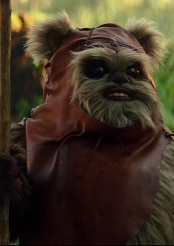 Wicket W. Warwick
