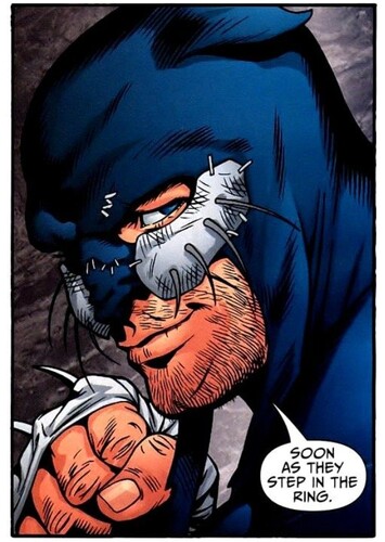 Wildcat