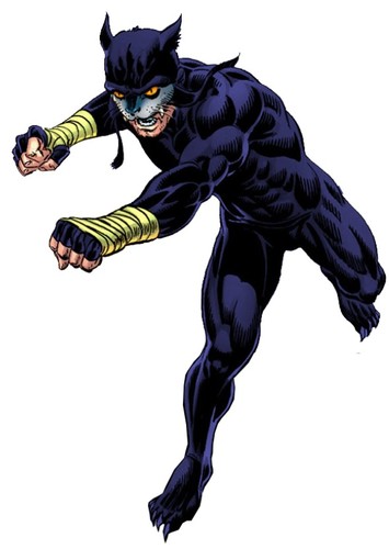 Wildcat