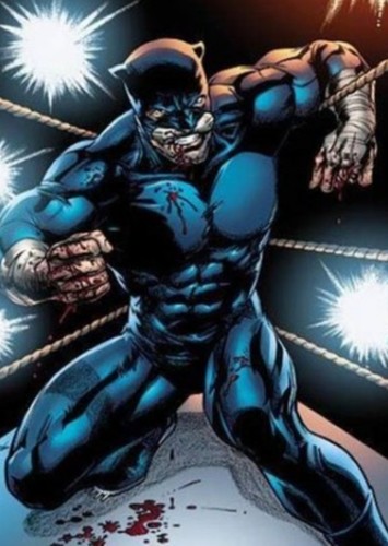 Wildcat