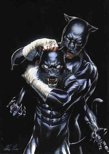 Wildcat
